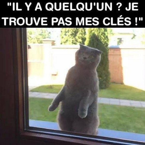 hi..hi...ti