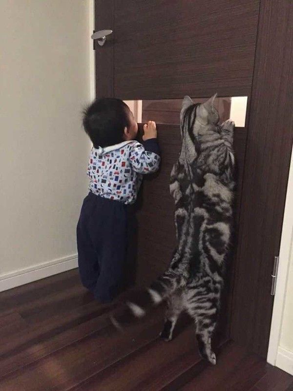 cé..qui...cé...qui....