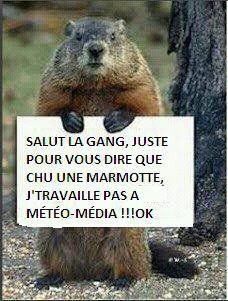 Marmotte