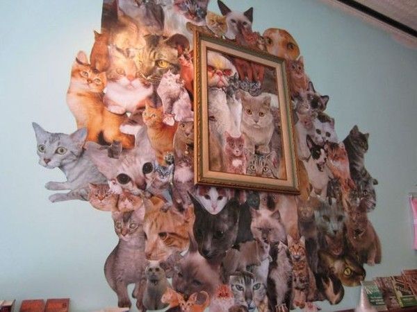 Un cadre par minou...