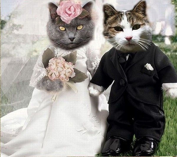 des noces hi.hi..