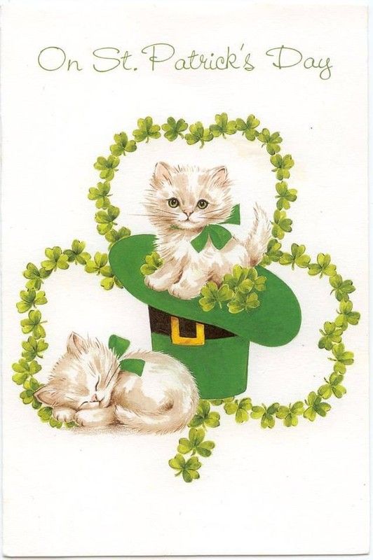 bonne st patrick