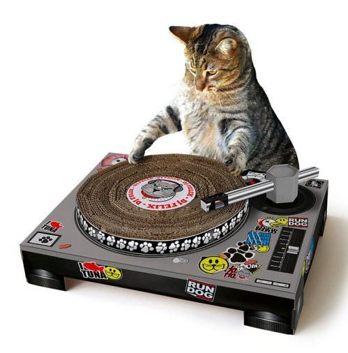 le DJ..du samedi...