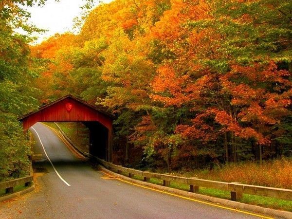 pont automne