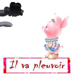 ilvapleuvoircochon.gif