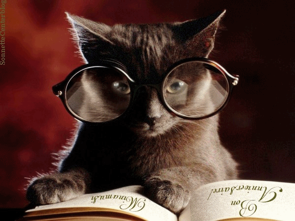 Résultat de recherche d'images pour "chat à lunettes gif animé"
