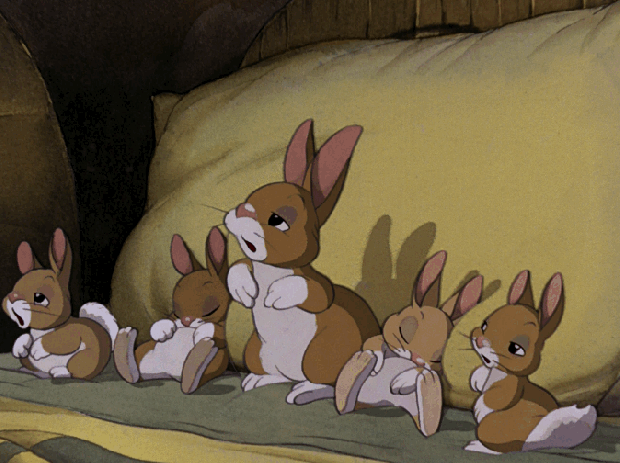 recouchesamedidodo9.gif