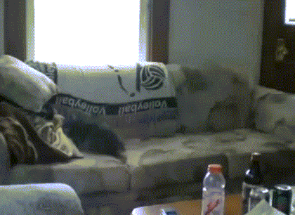 vaavectoi.gif